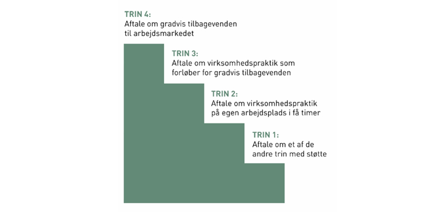 Beskriver trappemodelens 4 trin.